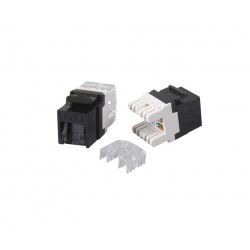 Base RJ45 Hembra Cat6 UTP